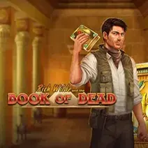 Book of Dead gokkast